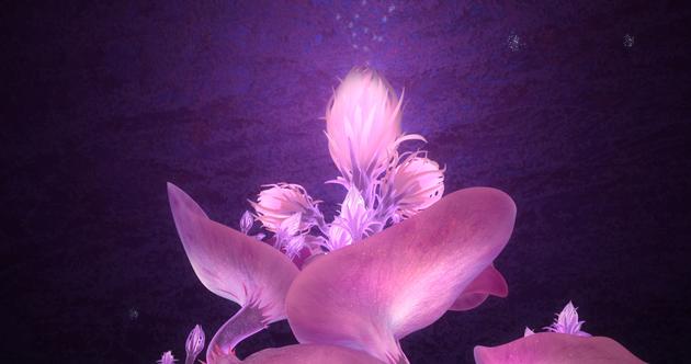 卡拉萝母树发着美丽而神秘的光芒