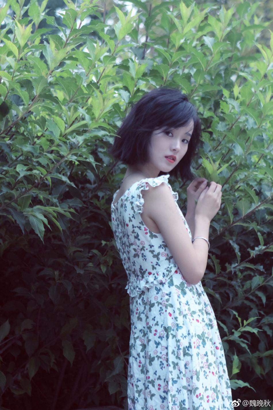 魏晚秋资料页_娱乐资料库_新浪娱乐_新浪网