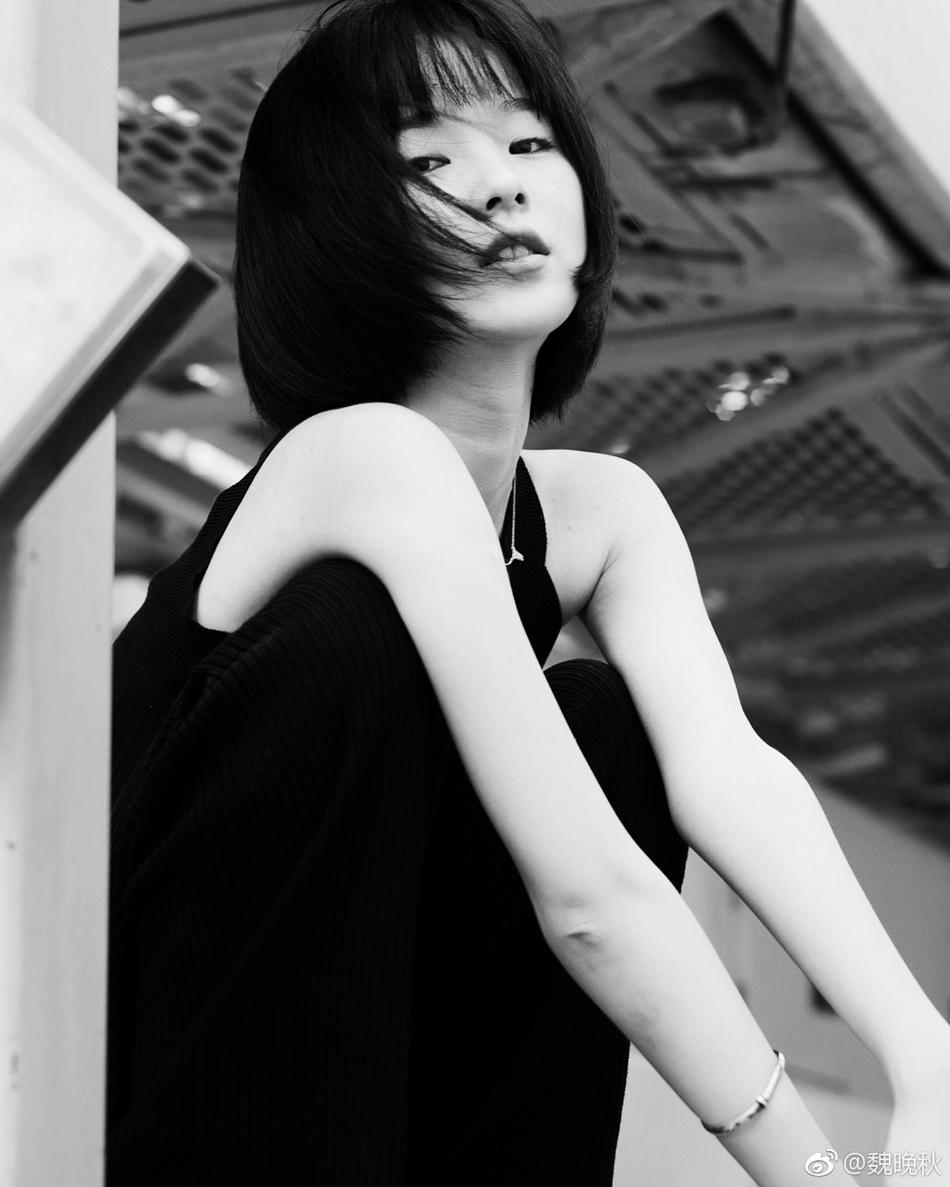 魏晚秋资料页_娱乐资料库_新浪娱乐_新浪网