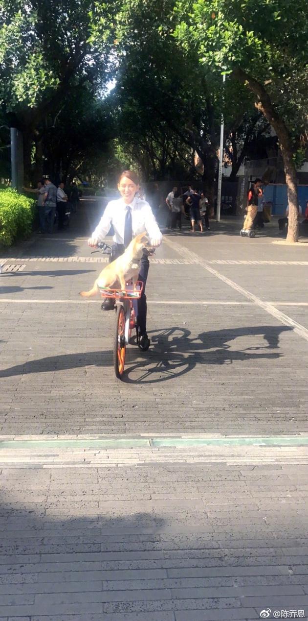 陈乔恩被抓拍自带光芒照片