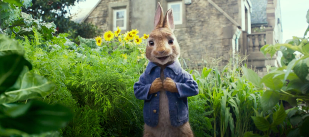 索尼新片《彼得兔》曝中字预告 人猪对叫画风猎奇