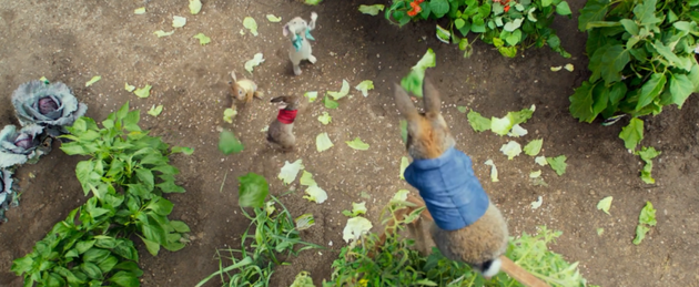 索尼新片《彼得兔》曝中字预告 人猪对叫画风猎奇