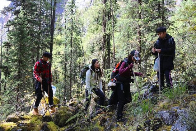 林依晨惊喜加盟《生活相对论》,杨迪李现秒变“戏精”!