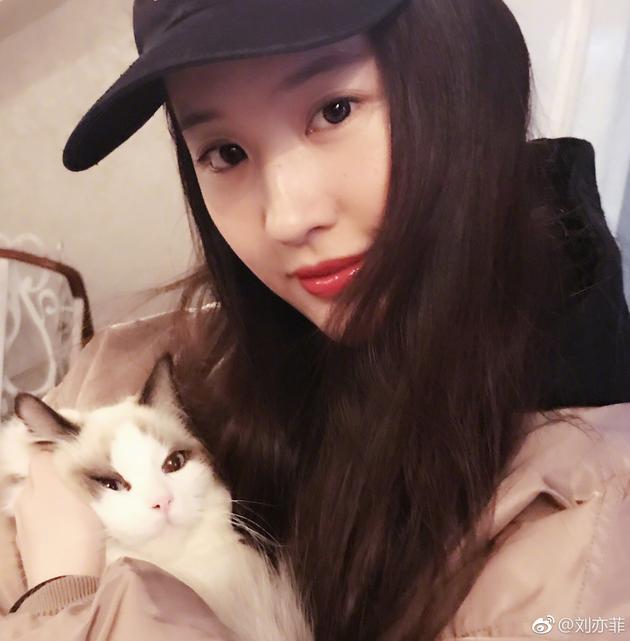 刘亦菲抱爱猫出镜