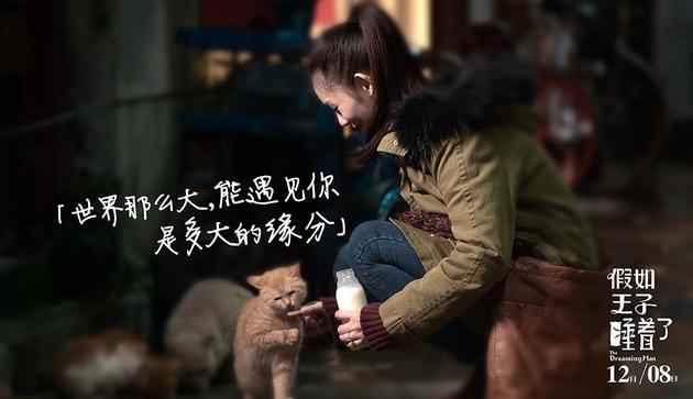 林允照顾小猫爱心满满