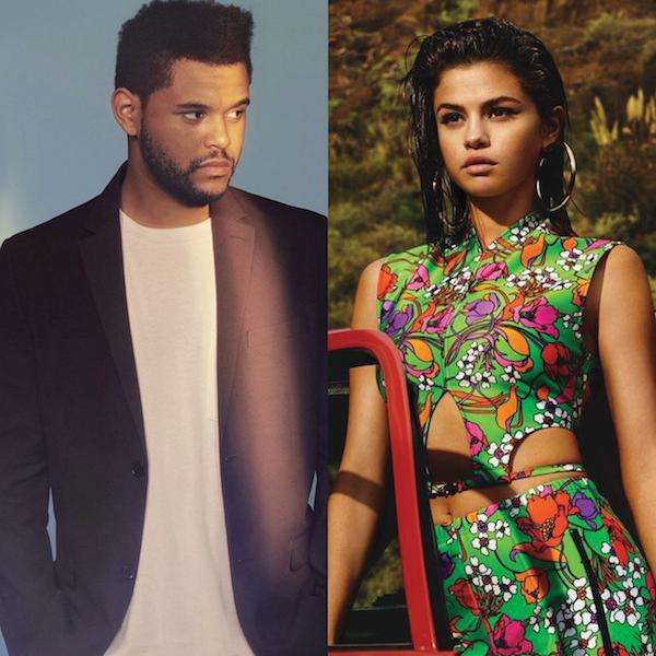 盆栽哥与赛琳娜资料图