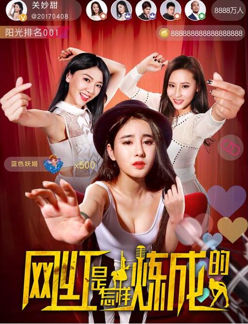 《网红是怎样炼成的》海报