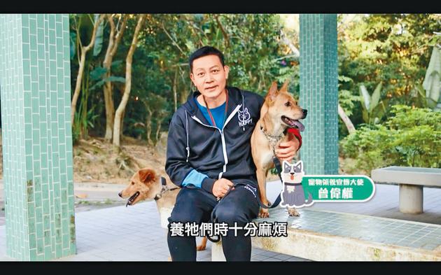 曾伟权患病期间也不忘照顾流浪猫狗