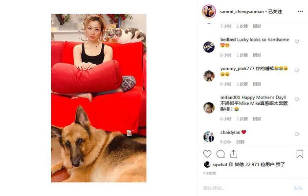 郑秀文母亲节晒与许志安爱犬合照