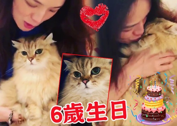 舒淇发文为爱猫庆祝六岁生日
