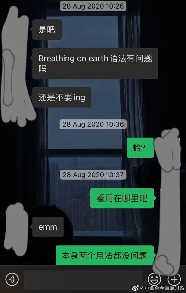 小盒鱼会喵喵叫吗与焉栩嘉聊天截图