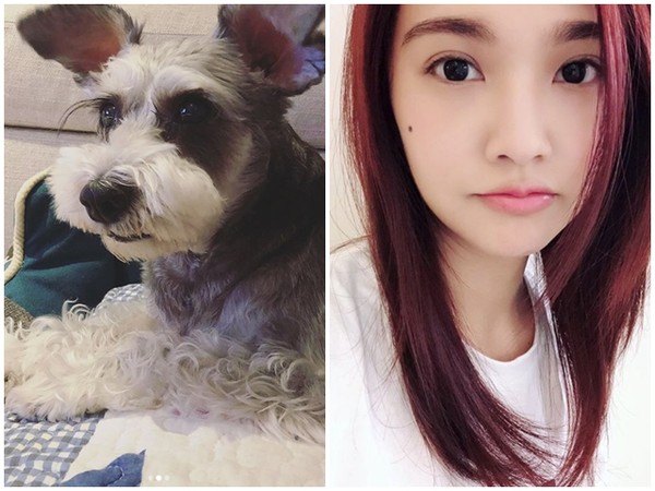 杨丞琳与爱犬Yumi