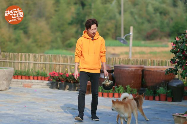 《向往》升级版蘑菇屋曝光