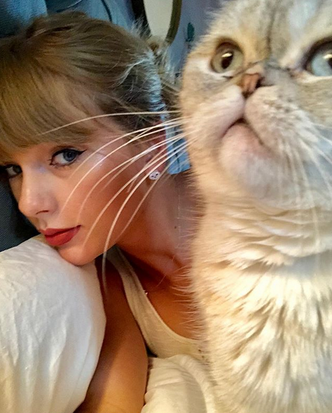 霉霉抱爱猫olivia晒自拍 妆容精致耳环图案抢镜