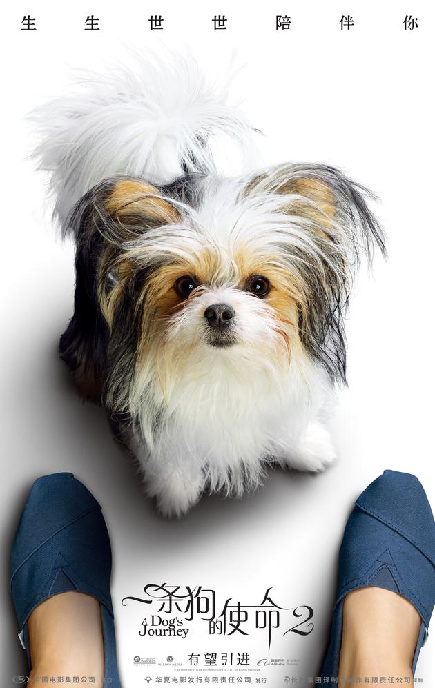 《一条狗的使命2》海报