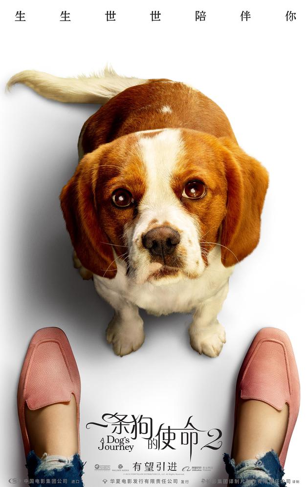 《一条狗的使命2》海报
