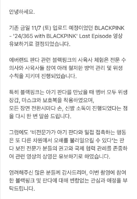 YG回应blackpink违规接触熊猫：新一期团综不播放