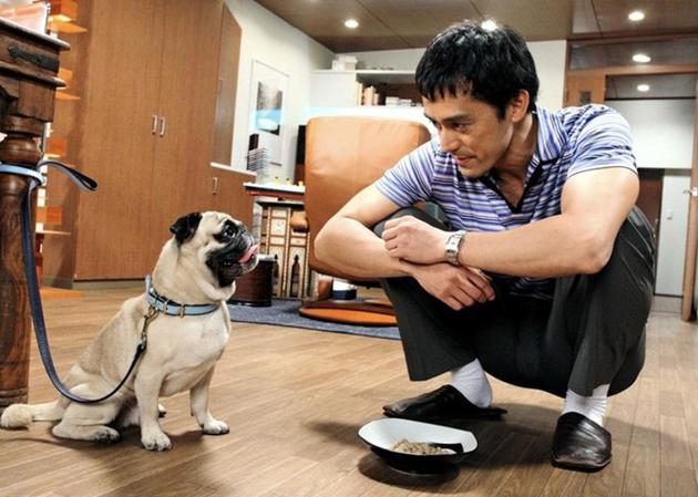 《不能结婚的男人》剧照