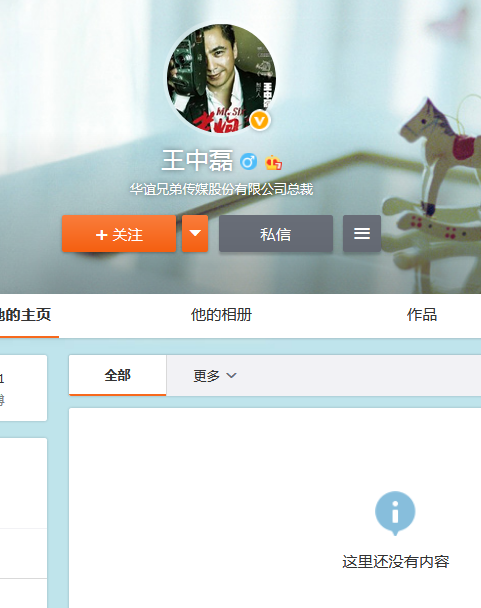 王中磊微博显示无内容