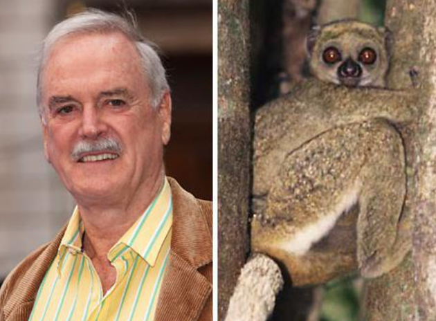 约翰·克里斯(John Cleese)