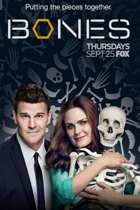 识骨寻踪资料页_娱乐资料库_新浪娱乐_新浪网