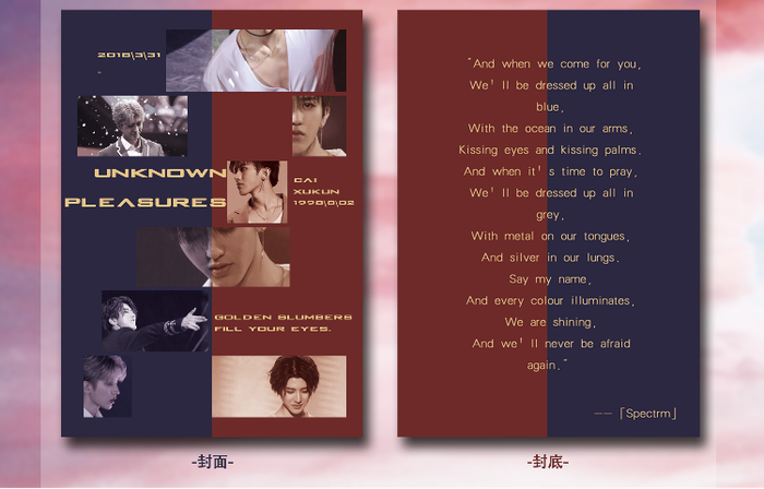 来自某网站的一份蔡徐坤的Photobook