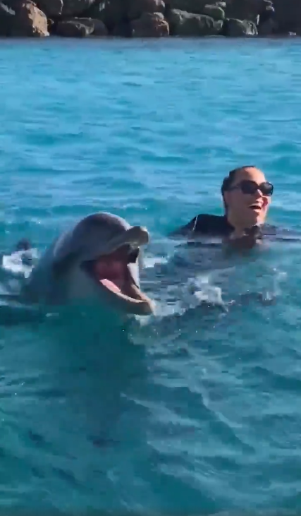 牛姐海豚音吓跑海豚