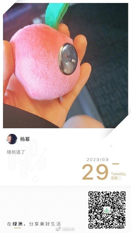 梗王!杨幂水蜜桃胸针丢失 绿洲发文称