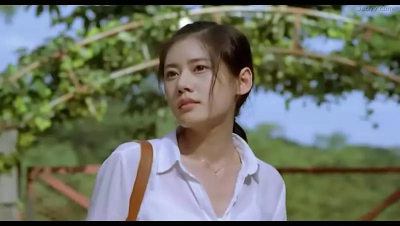 2008年《追击者》2009年,比现实更逼真的惊悚片《失踪》影片《失踪》