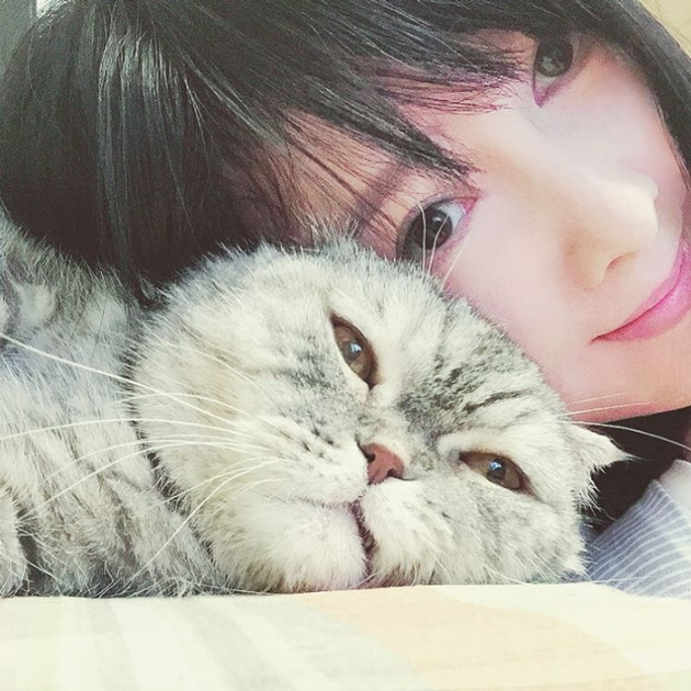 周慧敏晒猫咪相符照