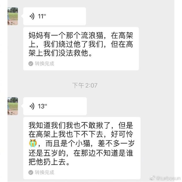 孙俪与女儿小花救助流浪猫 网友：小花妹妹好又爱心啊