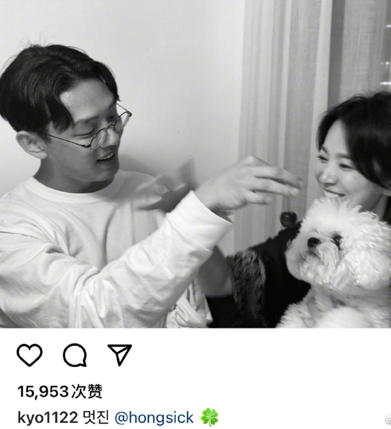 组图：宋慧乔刘亚仁久违同框合照 好友重聚开心逗狗狗