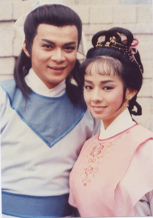 焕之子袁承志为忠臣所救,长大后被送上华山习武,期间无意中发现金蛇