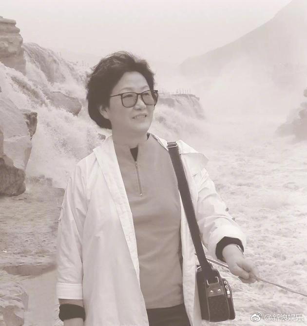 著名历史小说家凌力