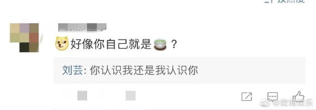 刘芸霸气回怼恶评：你认识我还是我认识你