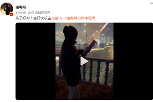 潘粤明董洁微博互动为儿子顶顶庆生