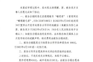 唐七公布维权案进展 造谣《华胥引》抄袭网友道歉封面图