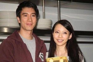 王力宏与李靓蕾离婚获准 需负担女方诉讼律师费