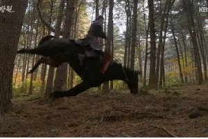 韩古装剧涉嫌虐马致死 三名工作人员被不拘留起诉封面图