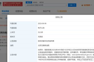 汪小菲告网友侵权 案件将于10月公开审理封面图
