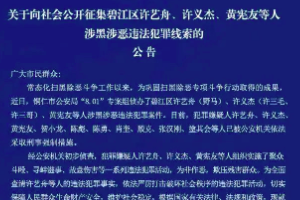 网红男歌手涉黑涉恶被抓 警方征集犯罪线索封面图