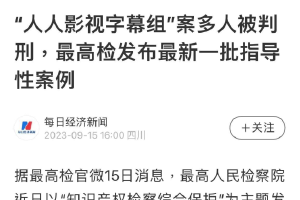 最高检披露“人人影视字幕组侵权案”办案细节封面图