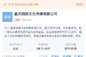盘点袁冰妍资本版图 其名下企业均已注销封面图