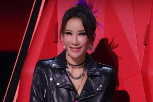 中国好声音起诉李玟经纪公司 案件于明年4月开庭封面图