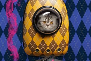 《阿盖尔：神秘特工》曝预告 卡维尔领衔豪华阵容封面图