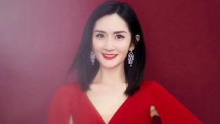 谢娜空降全国支援武汉医护群
