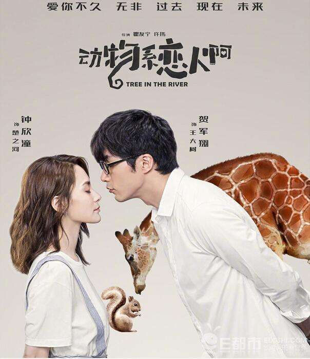 《动物系恋人啊》海报