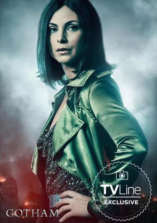 哥谭资料页_娱乐资料库_新浪娱乐_新浪网