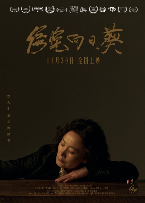 刘晓庆拒互动自比大熊猫，王婆神回复撕下体面！v1.3.7 官方安卓版