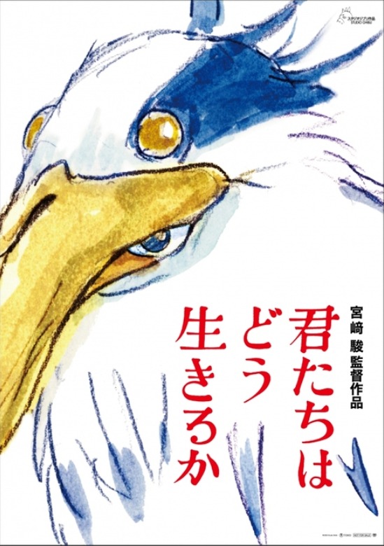 担心幼鸽家飞丢失，有几个小技巧可以减少幼鸽家飞丢失